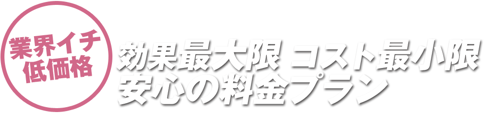 他社と差がつく低価格プラン